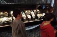 437926304_439695555233970_5212571255386418342_n