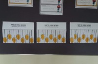 424967660_408375851699274_6833532863852028228_n