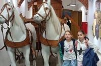 502584876_710787808124742_221300947454528722_n_wynik