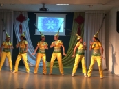 wys01